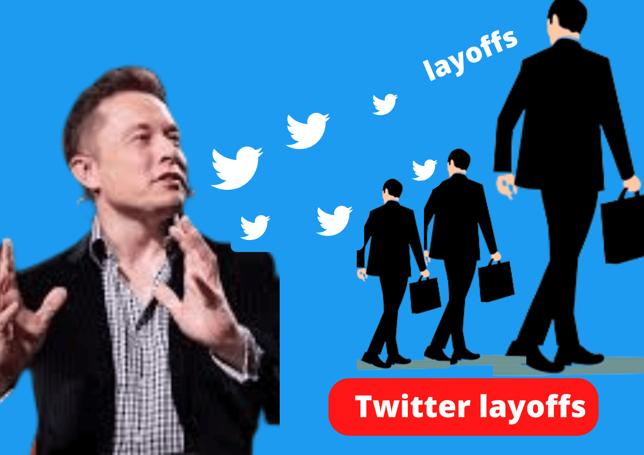 Read more about the article Elon Musk defends large layoffs at Twitter, Some have described it as illegal !!!  