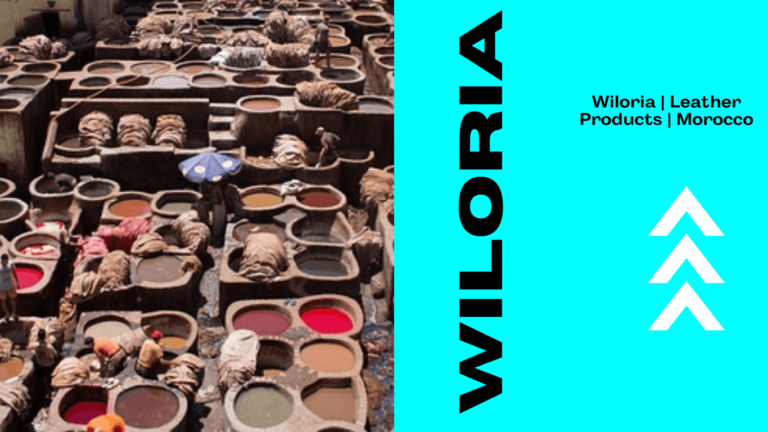 Read more about the article Wiloria | Leather Products | Morocco